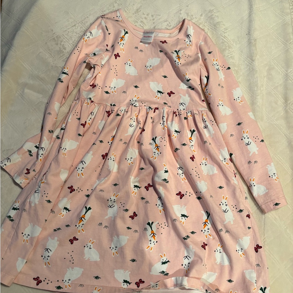 Hanna Andersson dress